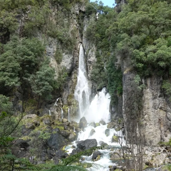Tour of Tarawera Falls and Lake Tarawera in Rotorua, New Zealand